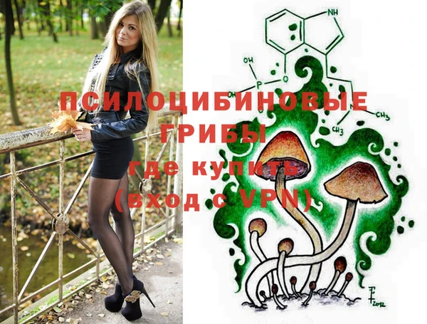 spice Верхний Тагил