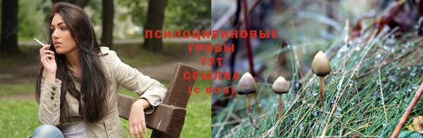 гашик Волосово