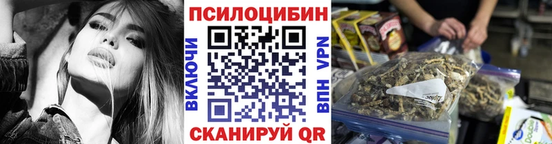 дарк нет официальный сайт  закладка  Заводоуковск  Галлюциногенные грибы MAGIC MUSHROOMS 
