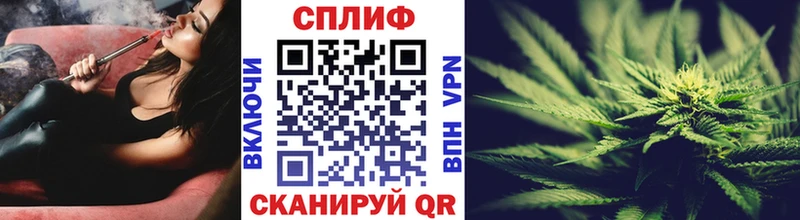 Конопля индика  Заводоуковск 